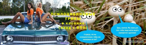 бошки Верхний Тагил