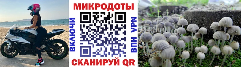 Галлюциногенные грибы GOLDEN TEACHER  Купить закладки  Медвежьегорск 